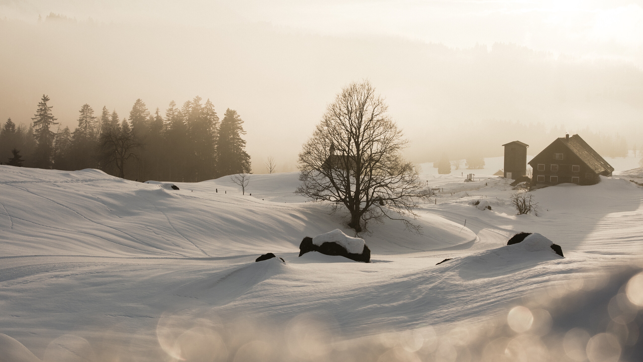 Eine zauberhafte Winterlandschaft im Allgäu. Ideal für den Urlaub.