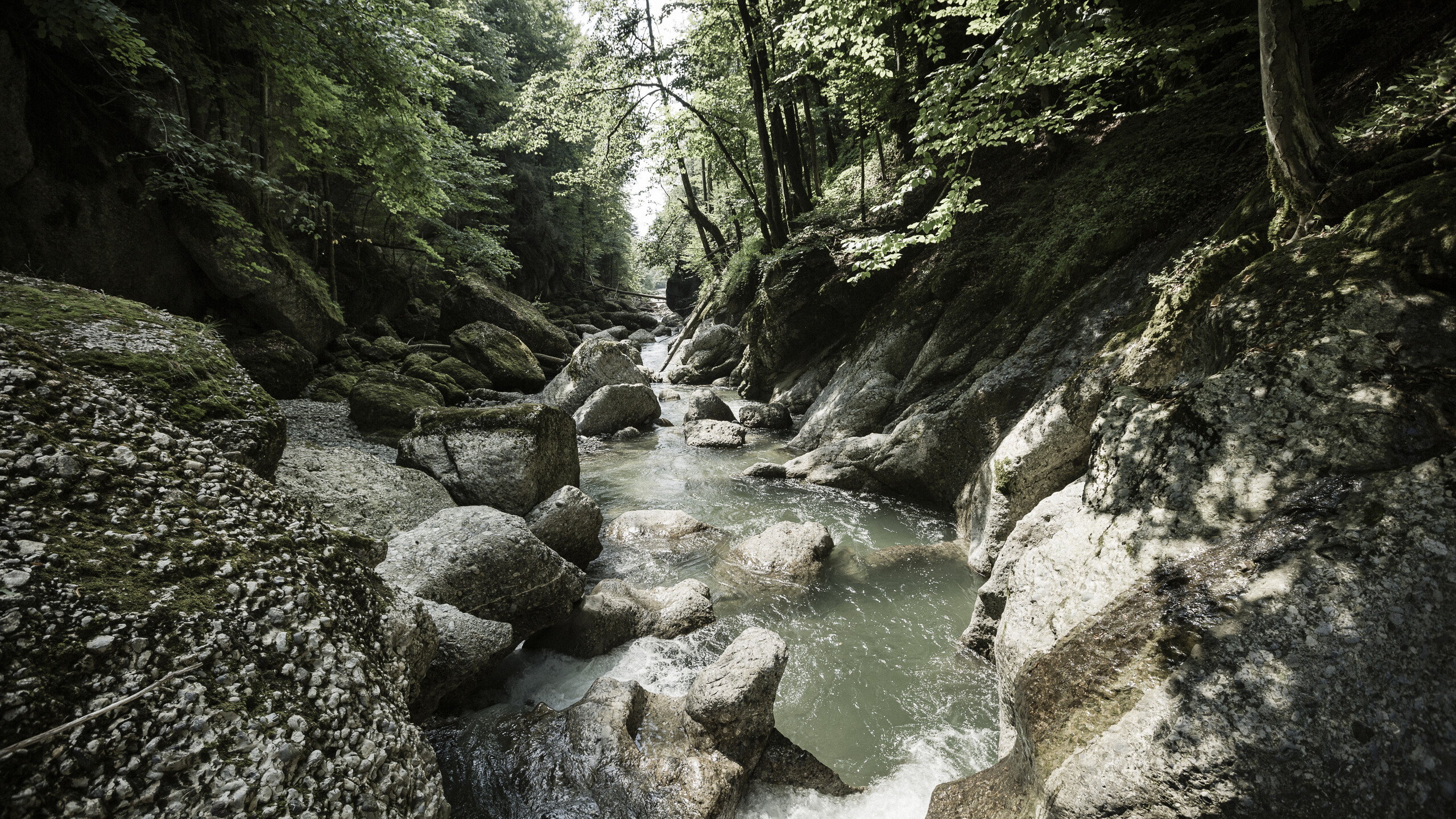 Naturerlebnis in Bayern mit Sommerurlaub im HUBERTUS in Balderschwang