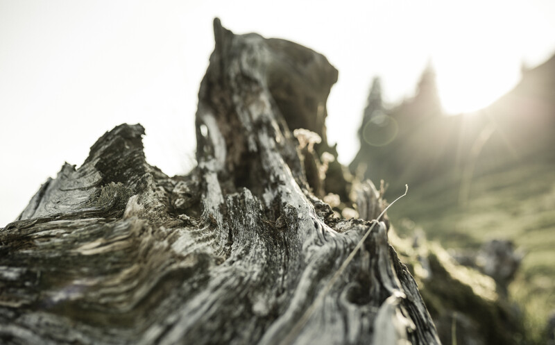 Besondere Angebote und Pakete mit Ayurveda und Achtsamkeit im Allgäu