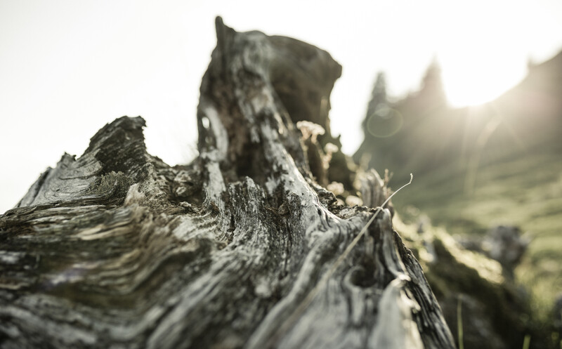 Wellnessurlaub genießen mit Holistic-Paketen im HUBERTUS