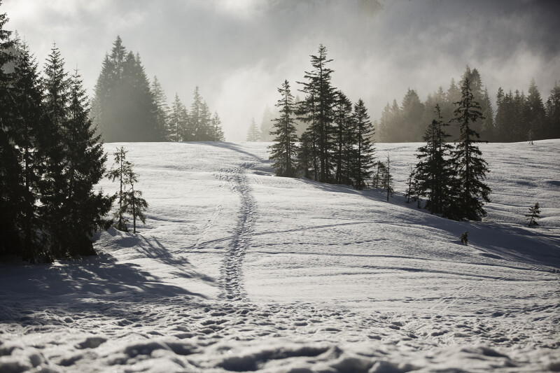 Winter erleben im Allgäu mit Winterurlaub im Hotel HUBERTUS