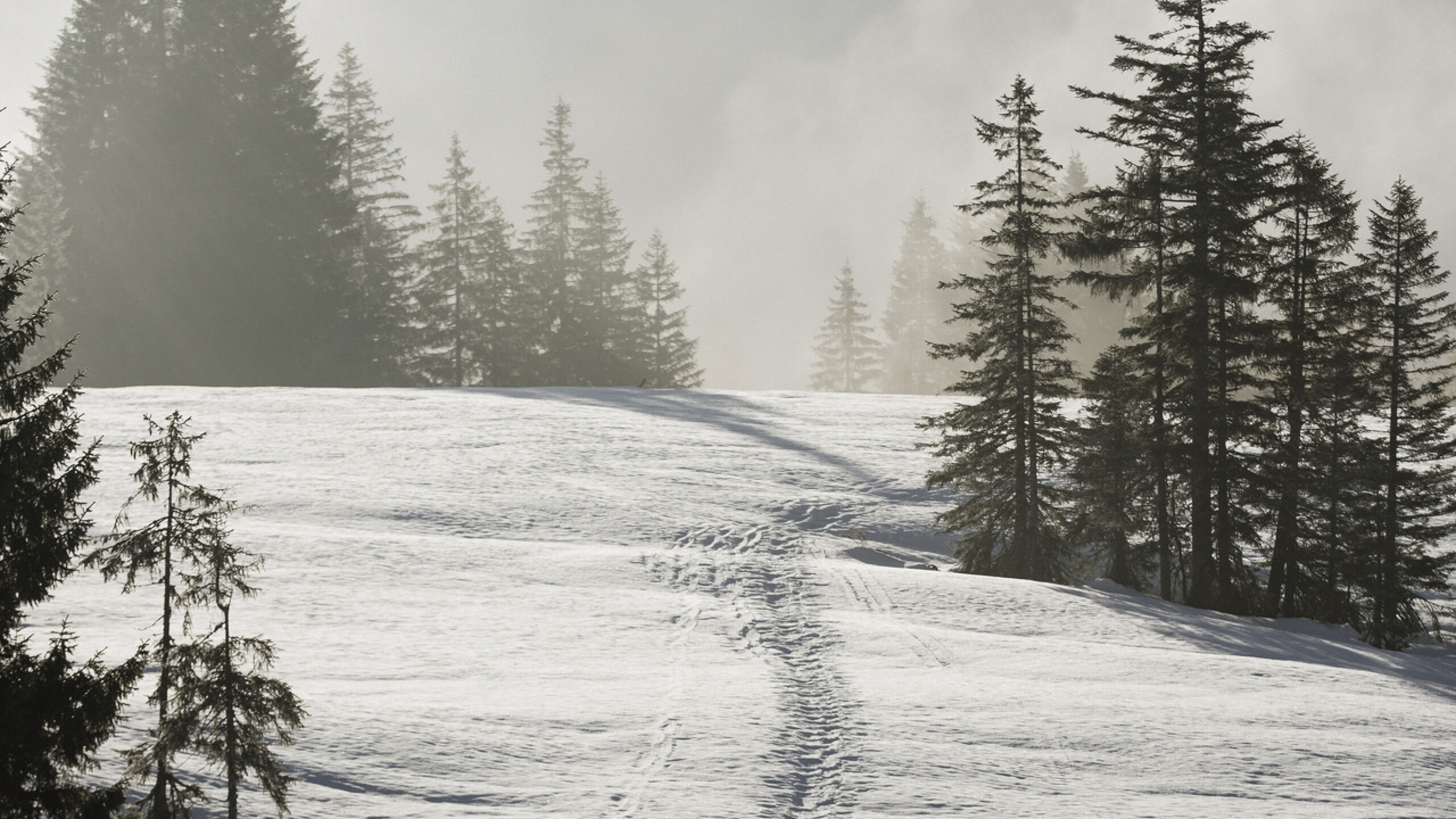 Winterurlaub im Allgäu im Hotel HUBERTUS