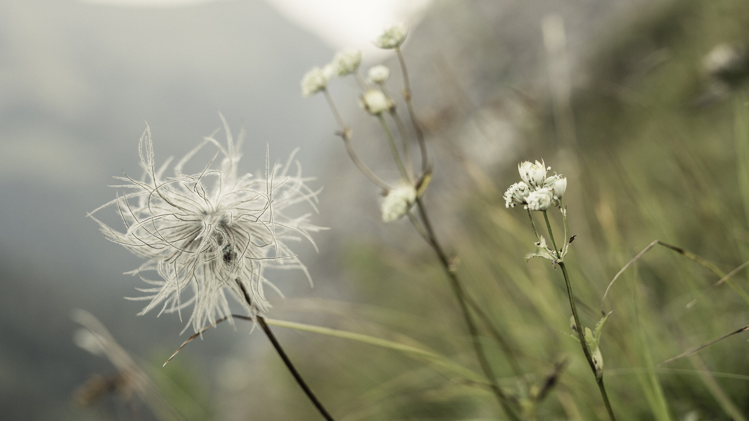 Urlaub im Designhotel HUBERTUS Mountain Refugio in Balderschwang