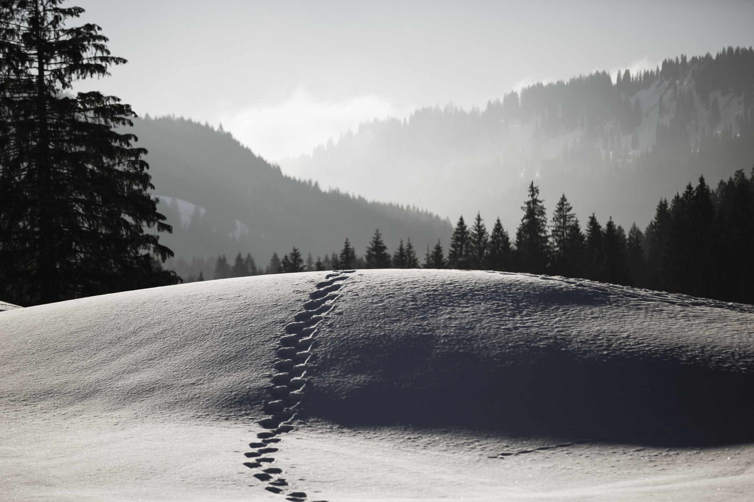 Aktivurlaub mit Wellness im Allgäu