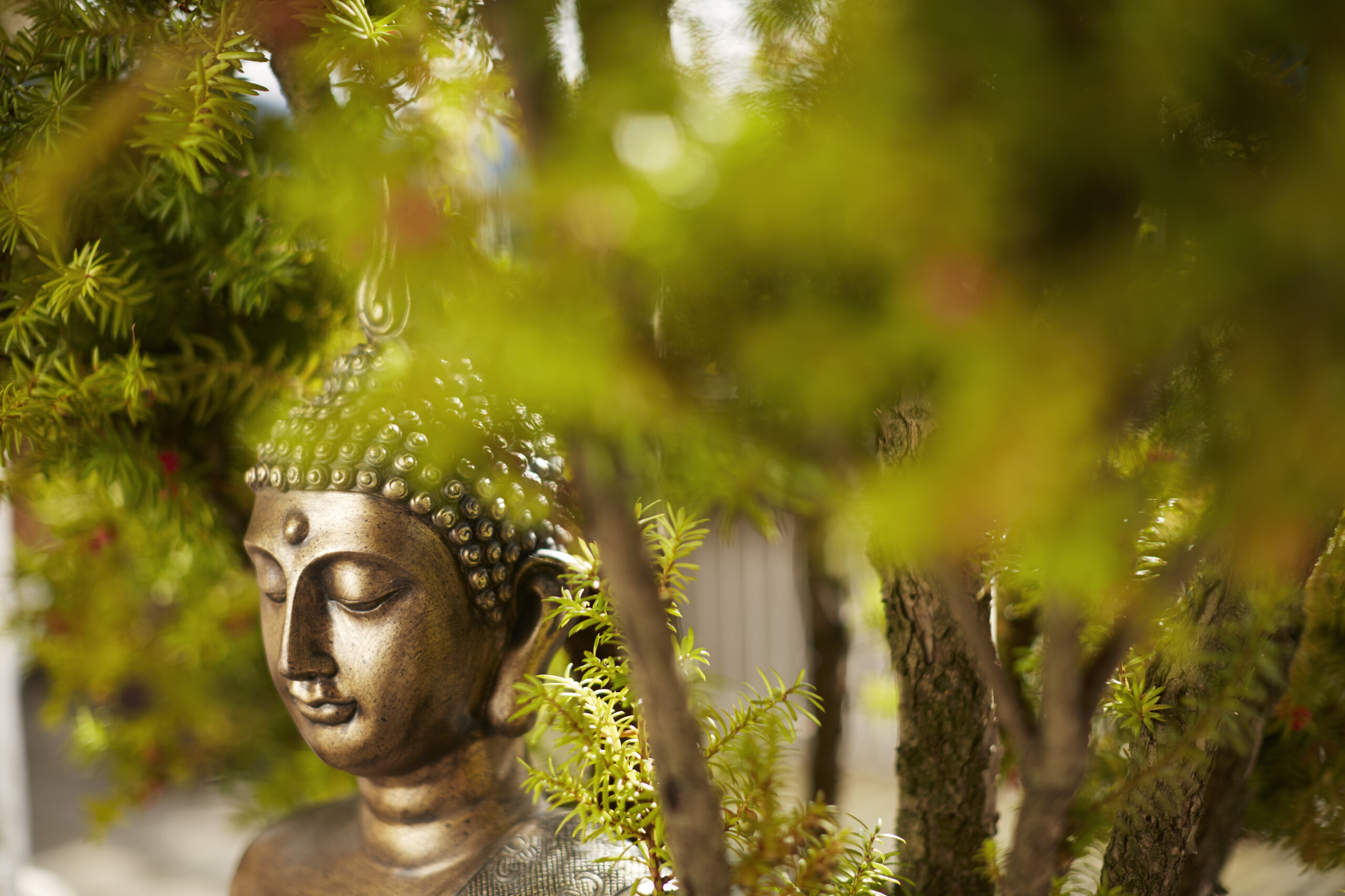 Yoga-Urlaub im Berghotel HUBERTUS in den Bergen