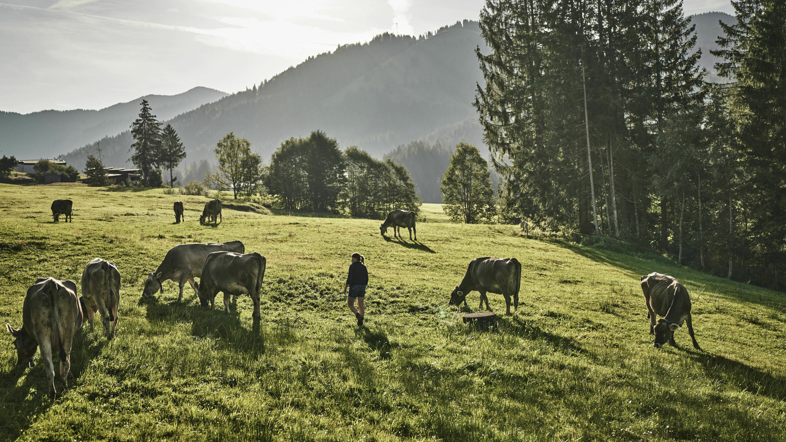 Bio Hotel im Allgäu