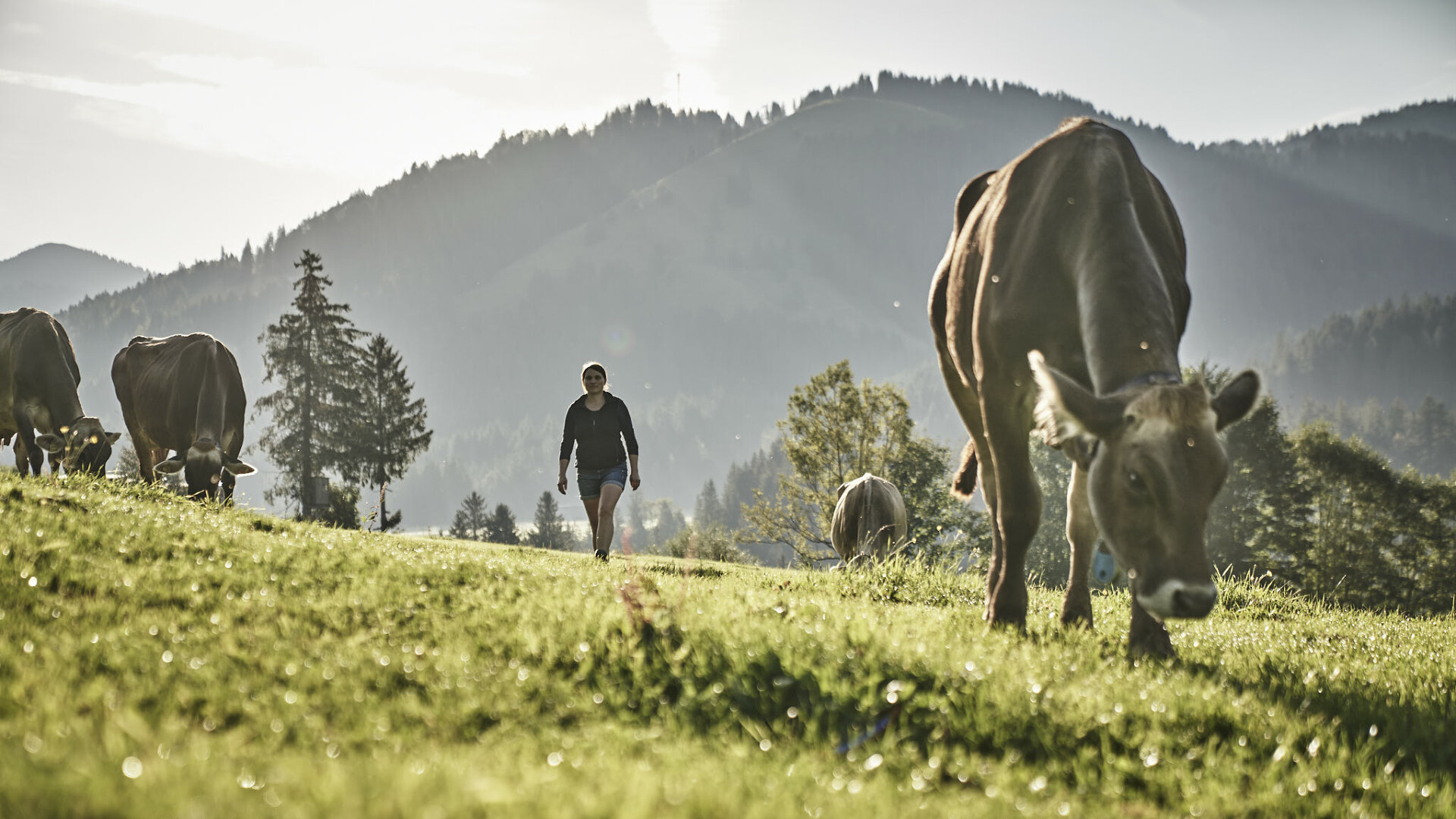 Urlaub in Bayern im Hotel HUBERTUS Mountain Refugio Allgäu