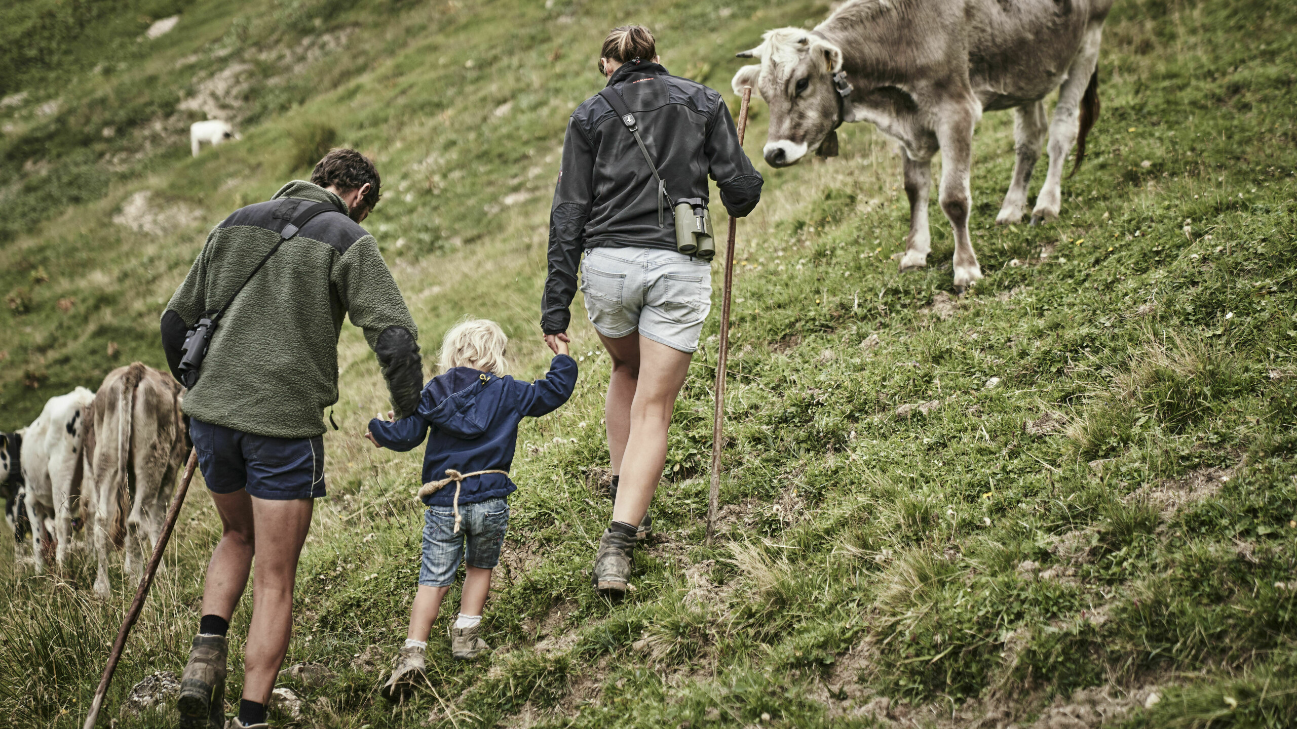 Alpe Wilhelmine ist Lieferant für das Wellnesshotel HUBERTUS