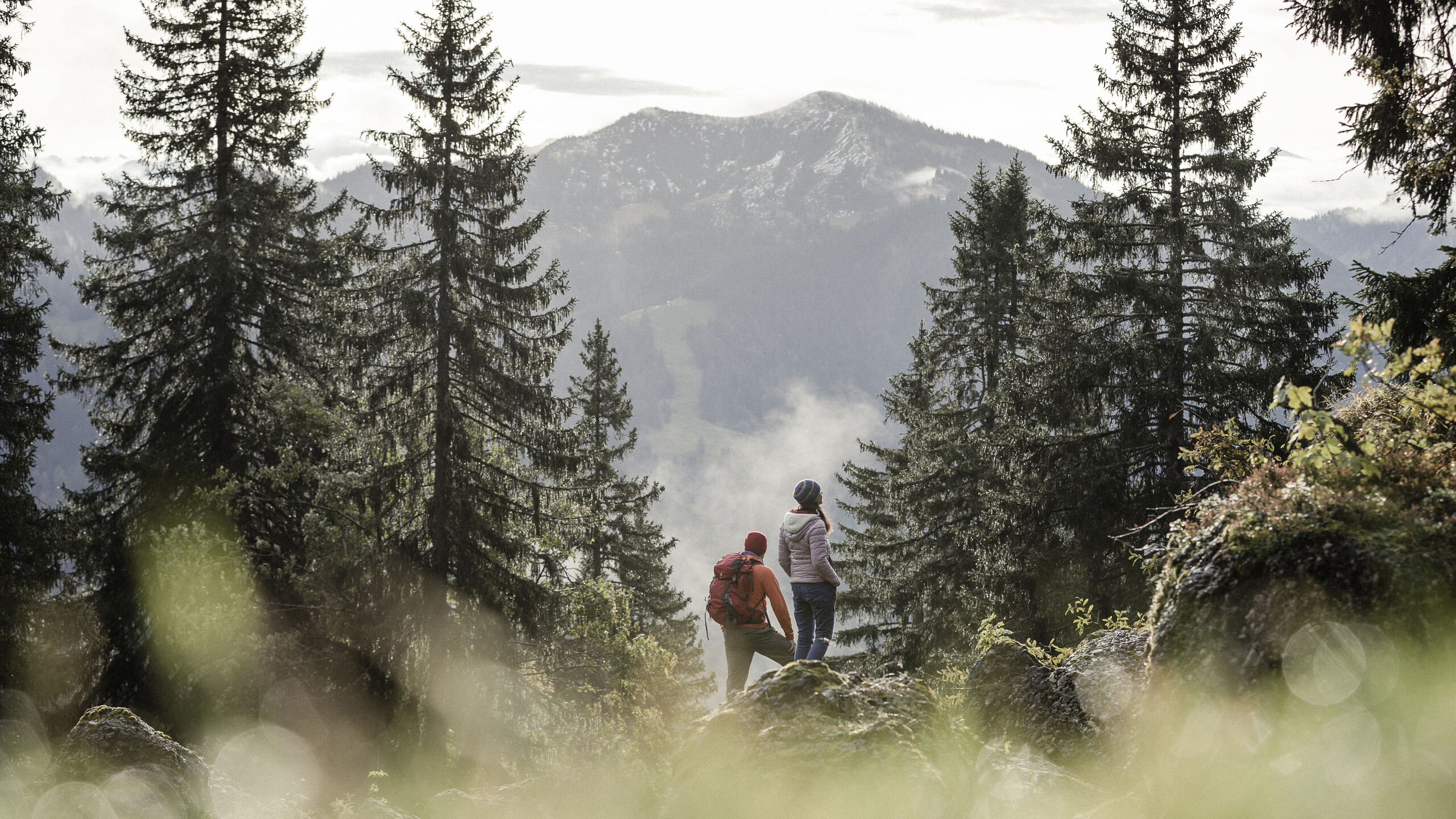 Urlaub inmitten der Natur der Allgäuer Alpen im Naturpark Nagelfluh.