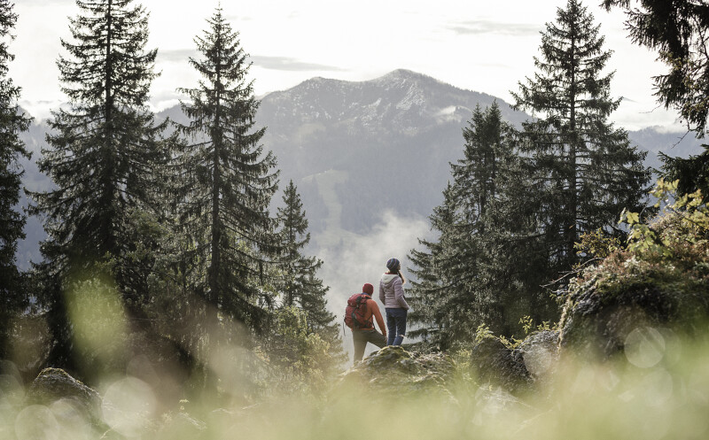 Wandern und Biken rund um Balderschwang mit Wellness im HUBERTUS