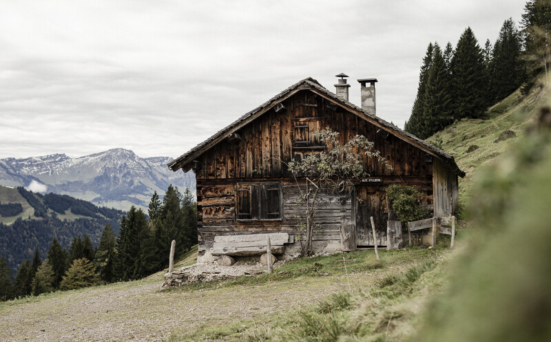 Die Natur hautnah erleben mit Wanderungen zu den Sennalpen im Allgäu.