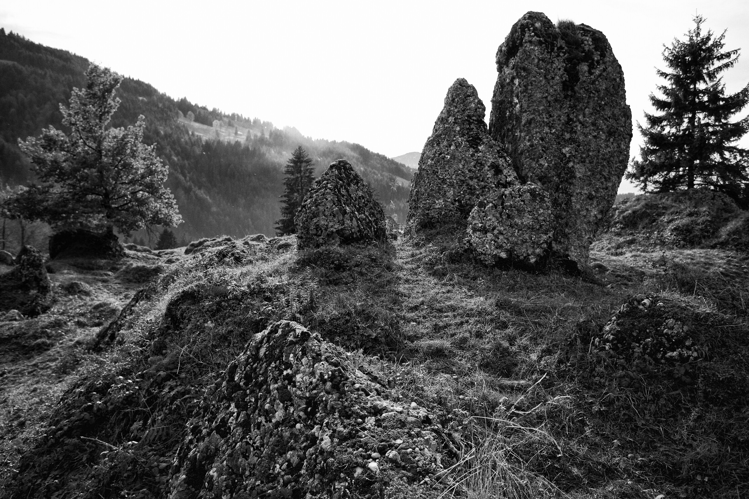 Aktivurlaub in Bayern inmitten des Naturpark Nagelfluh in Balderschwang