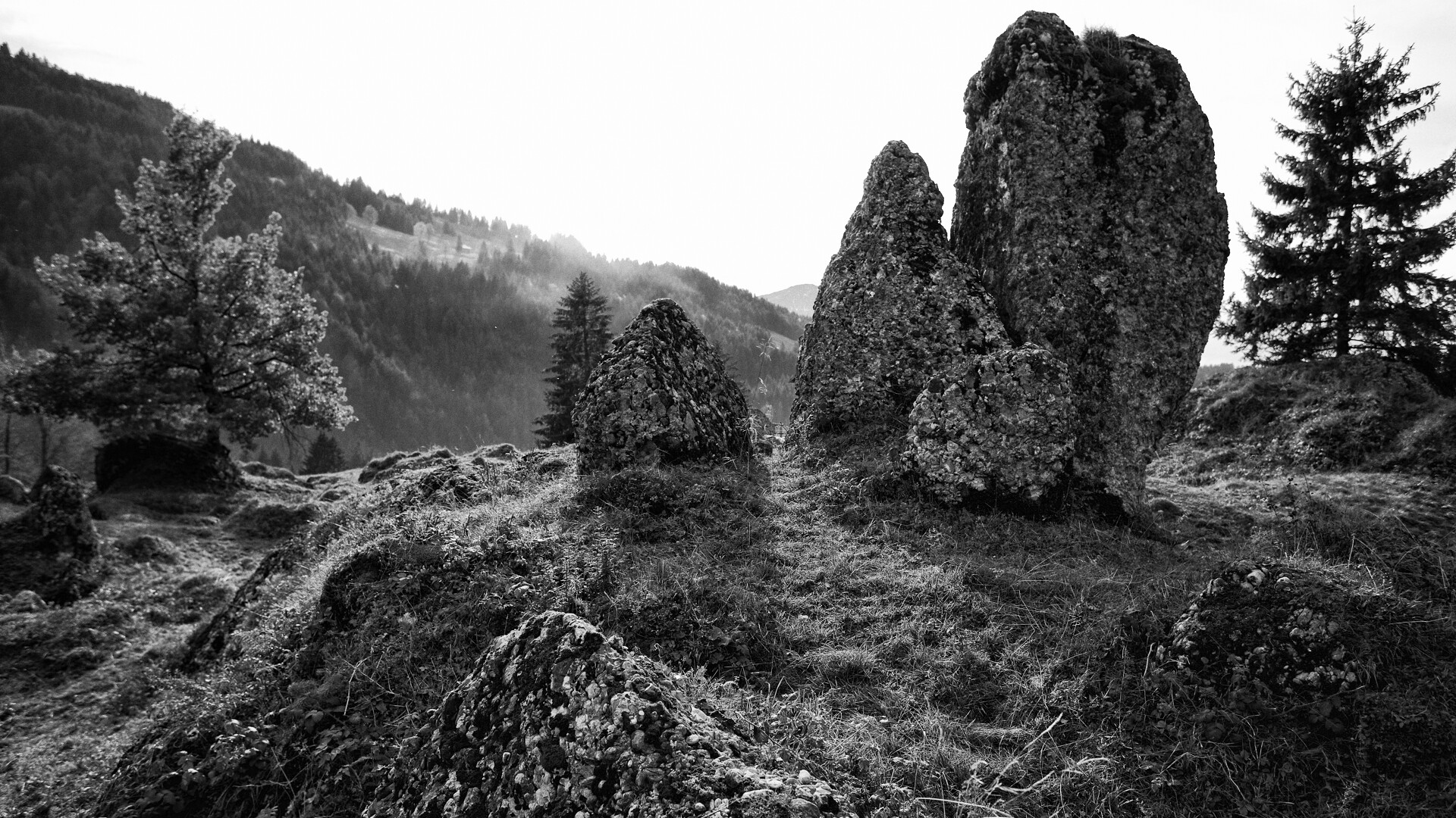 Wanderrouten im Allgäu im Naturpark Nagelfluh und Urlaub im HUBERTUS